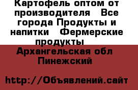 Картофель оптом от производителя - Все города Продукты и напитки » Фермерские продукты   . Архангельская обл.,Пинежский 